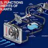 WHAT IS ENGINE COOLANT AND WHY DOES YOUR VEHICLE NEED IT?